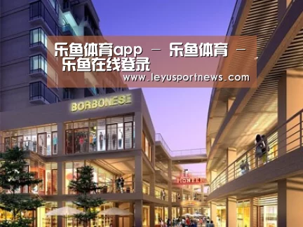 案例展示一