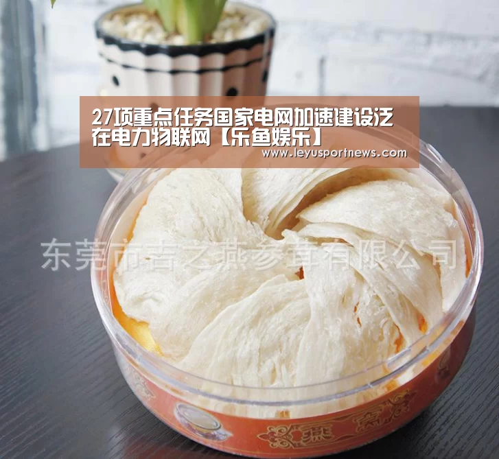 27项重点任务国家电网加速建设泛在电力物联网【乐鱼娱乐】(图2) 乐鱼体育在线登录